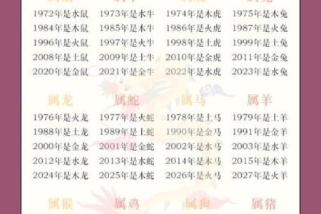 水命属于哪个五行生肖解析