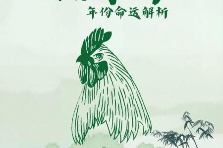适合生肖鸡宝宝的独特名字大全