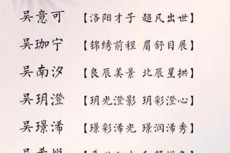 如何为吴宝宝男孩选择一个寓意深远的名字