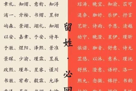利用免费生辰八字取名为孩子选择最合适的名字