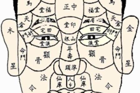 揭秘面相学：通过面相图片分析性格与命运