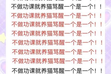 养猫风水书揭秘：如何通过猫咪提升家居运势