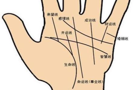 揭秘豹纹手相的深层含义与命运解析