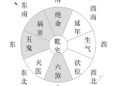 卖狗行业中的风水布局：提升客户和财运的策略