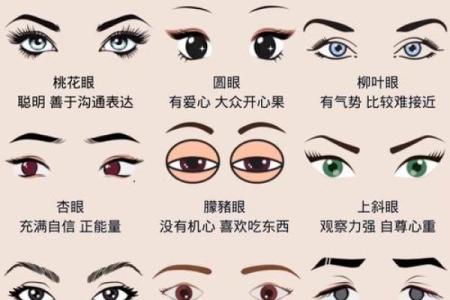 眉毛在男人面相中的独特作用