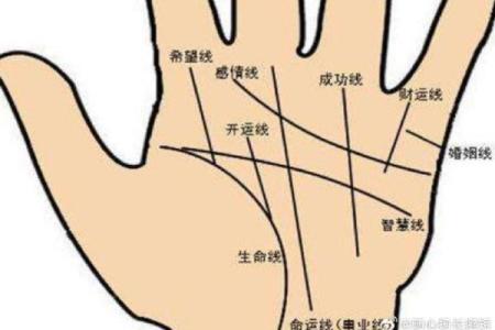 耳朵面相图揭秘：耳朵形状与个人命运的深层联系