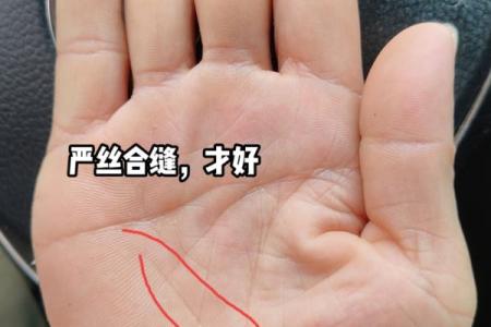 解读长寿型手相：健康长寿的秘密