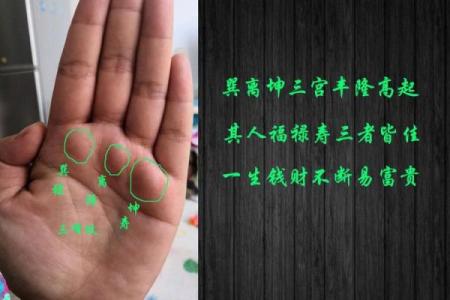 手相解析：福禄寿线的奥秘与命运影响