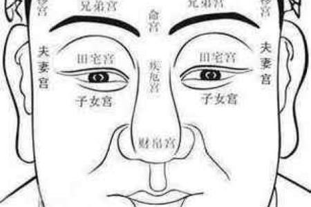 面相测试：探索面相与运势的神秘联系