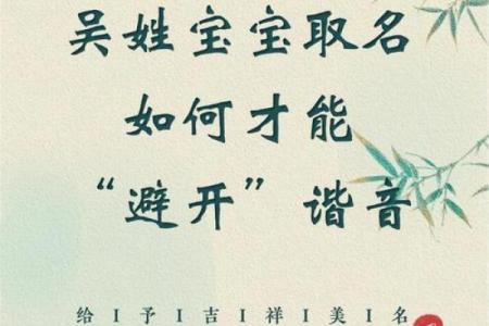 吴宝宝男孩起名技巧与精选名字推荐