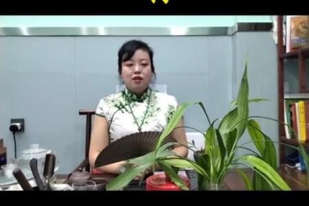 生肖属狗的人命运特点解析