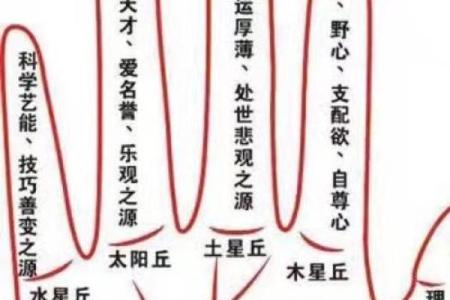 学业线手相解析：女生手相中的学业运势与潜力