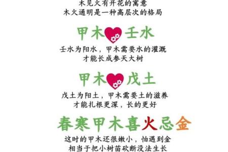 甲木命理解析：揭示命运的力量与特征