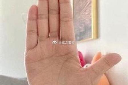手相链条如何影响你的职业与财富走向