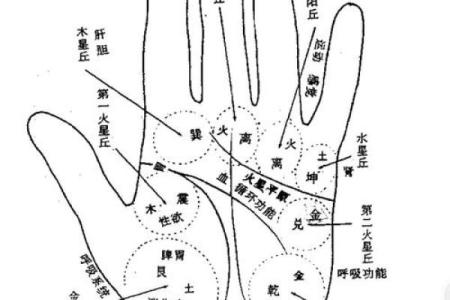 探索手相中的影响线：你命运的潜在指引