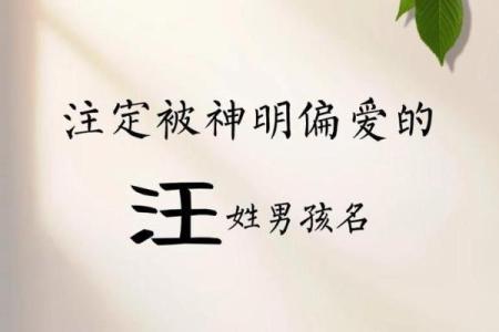 汪姓宝宝起名指南：为宝宝选择寓意深远的名字技巧