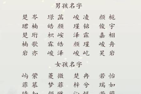最佳宝宝起名推荐 让孩子从名字开始不同凡响