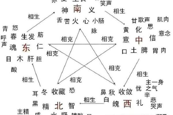 天干与人体健康的神秘关联解析