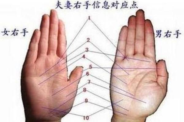 手相学入门指南：一步步教你看手相