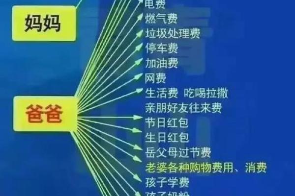 探索今日八字，了解你的命运密码