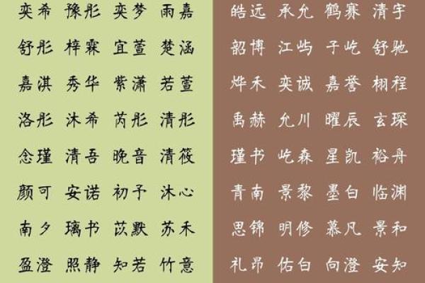 新生儿起名：如何挑选独特而有意义的名字