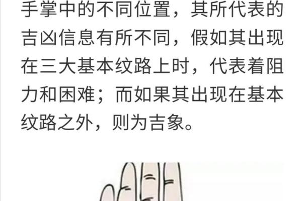 手相学入门：如何看懂掌纹揭示的命运走向