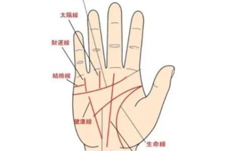 手相算命的奥秘揭秘：如何通过手掌看未来运势