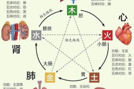 天干地支相互关系与命理解析