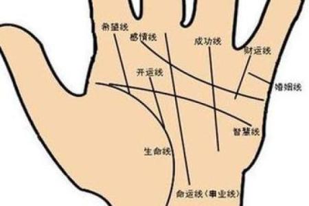 掌握富贵手相图，预测未来的财运走势