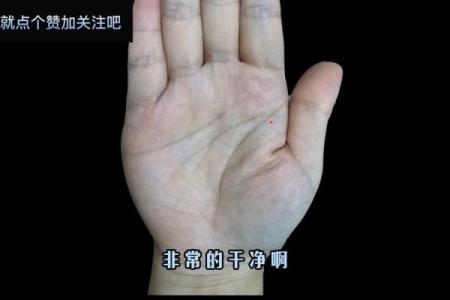 龙压虎手相解析：象征权力与财富的独特手纹特征