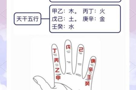 探秘天干地支在年月日中的应用