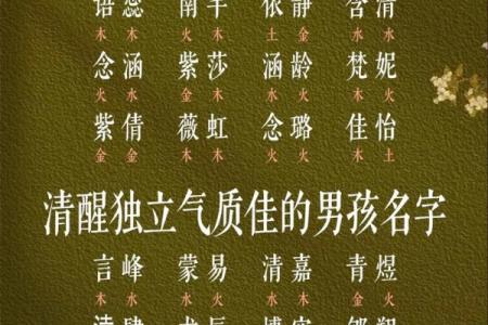 新生儿起名：如何挑选独特而有意义的名字