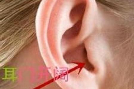耳廓面相解析：如何通过耳朵形态看出性格与命运