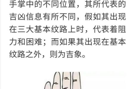 手相学入门：如何看懂掌纹揭示的命运走向