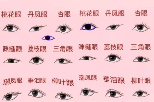 如何通过眼型面相揭示个人性格与命运走势