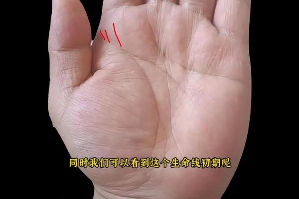 劳碌手相的秘密：你是否注定为努力工作型人格