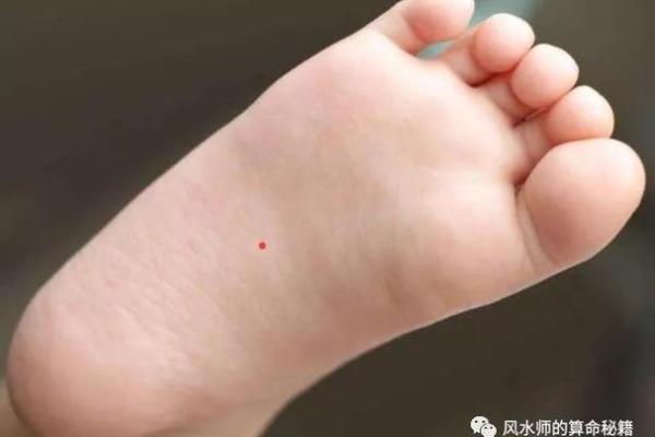 少奶奶命的真实含义与生活特征解析