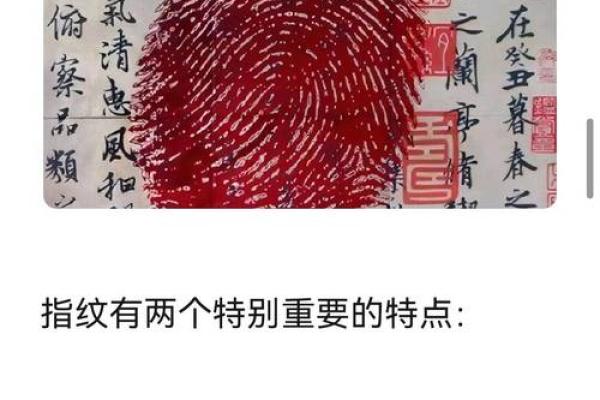 手相中螺纹簸箕的神秘含义与解读技巧
