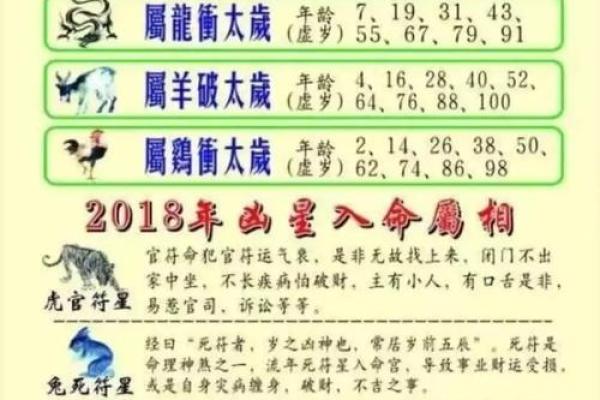 什么样的人会有坎命 解析坎命的特点与影响