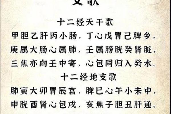 天干与人体各大部位的联系探秘