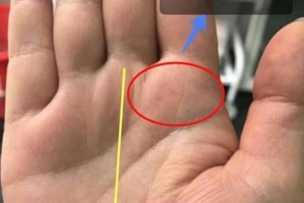 王字手相的深层含义与命运走向分析