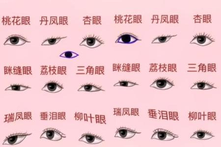 如何通过眼型面相揭示个人性格与命运走势
