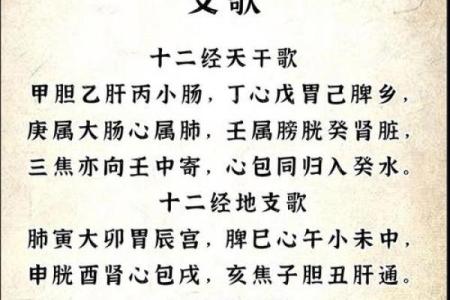 天干与人体各大部位的联系探秘