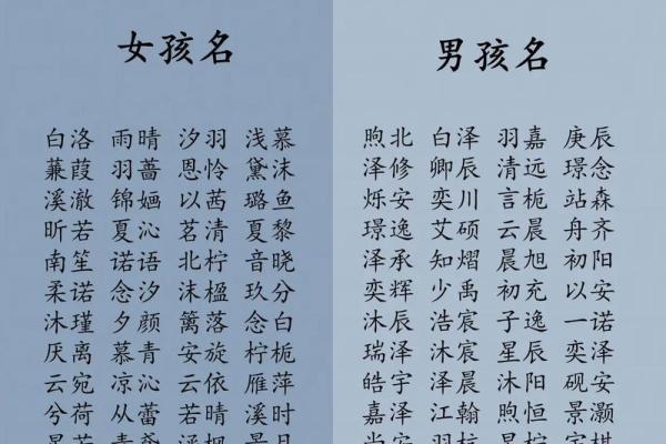 探寻宝宝名字中的文化象征与历史典故