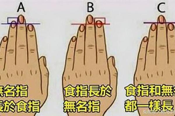 揭示哪些手型代表富贵命运