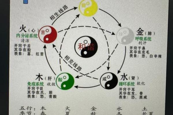 中医十天干如何揭示身体与自然的和谐关系