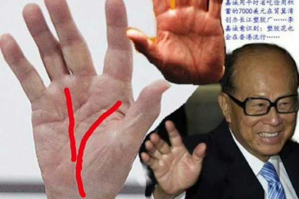 解读手相，洞察人生的关键转折