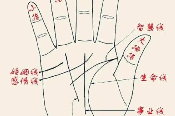 手相自学指南：从基础到进阶的全方位解析