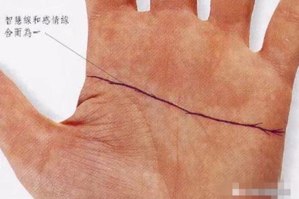 头脑线在手相中的秘密解析与生活影响