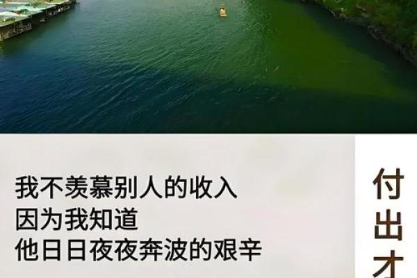 揭开勤劳命的真相：努力与运气的博弈